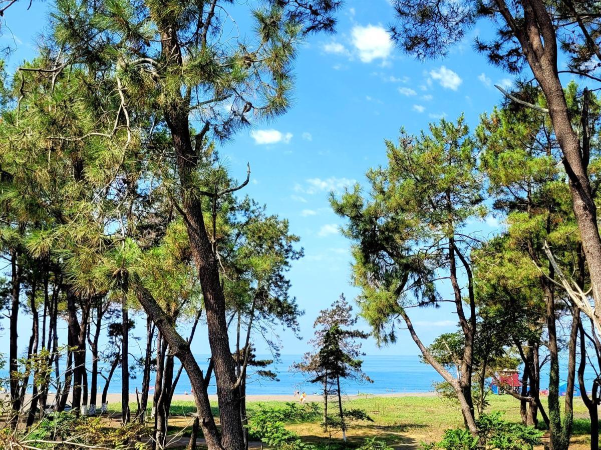 Beachfront Apartments ,,Kapro-One,, Ureki Eksteriør billede