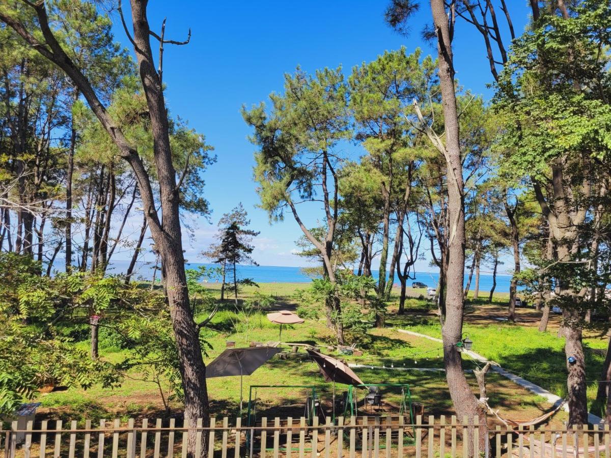 Beachfront Apartments ,,Kapro-One,, Ureki Eksteriør billede